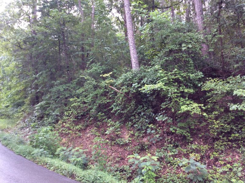 246 Lail Rd Lot 246, Chickamauga, GA 30707