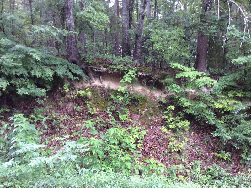 246 Lail Rd Lot 246, Chickamauga, GA 30707