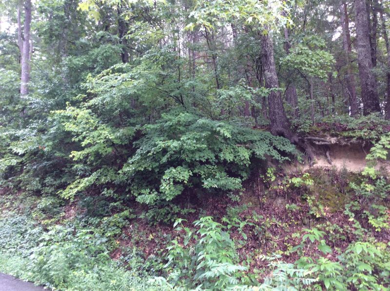 246 Lail Rd Lot 246, Chickamauga, GA 30707