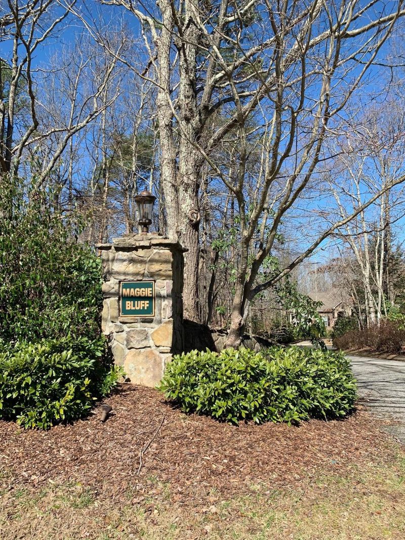 15 Maggie Bluff, Lookout Mountain, GA 30750