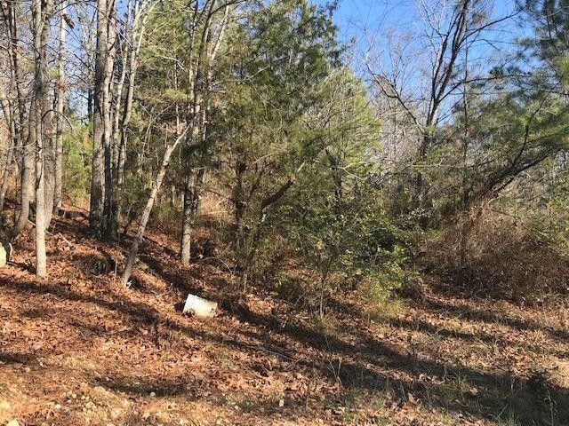 451 Hamil Hollow Rd Lot 285, Ringgold, GA 30736
