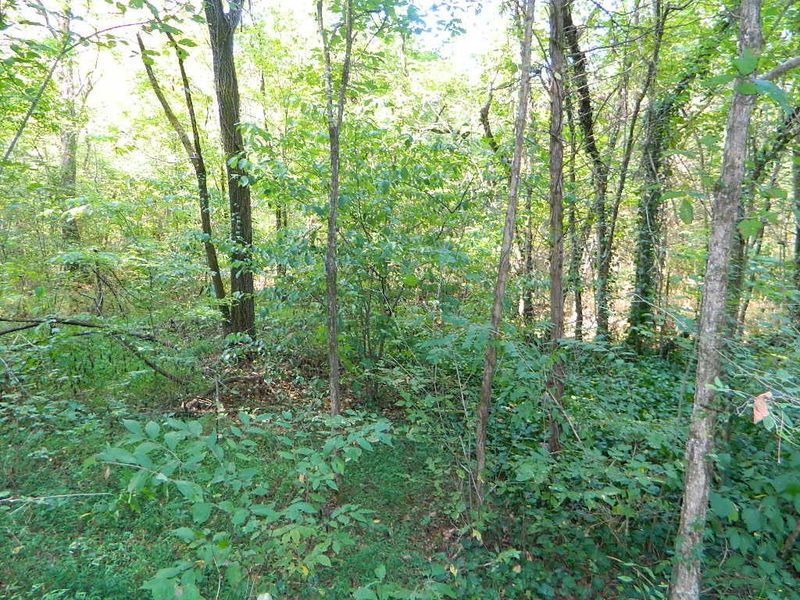 0 Woodwind Way, Rising Fawn, GA 30738
