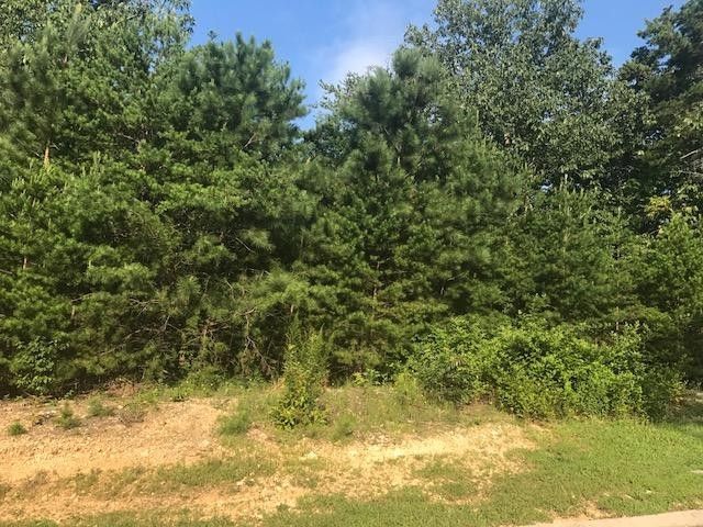 1622 Wexford Pl, Cohutta, GA 30710