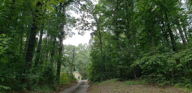 96 Mockingbird Ln, Trenton, GA 30752