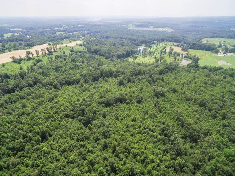 0 Pikes Dr, Trenton, GA 30752