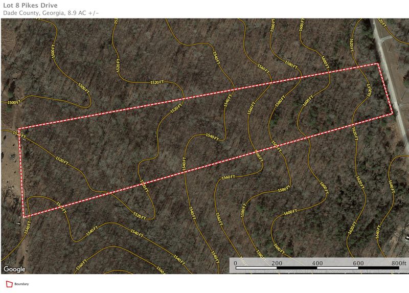 0 Pikes Dr Lot #8, Trenton, GA 30752