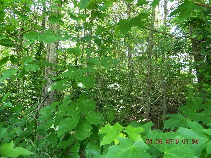 3 Mckaig Rd Lot 3, Trenton, GA 30752
