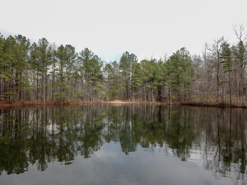 0 Road 911 Lot 14/15, Mentone, AL 35984
