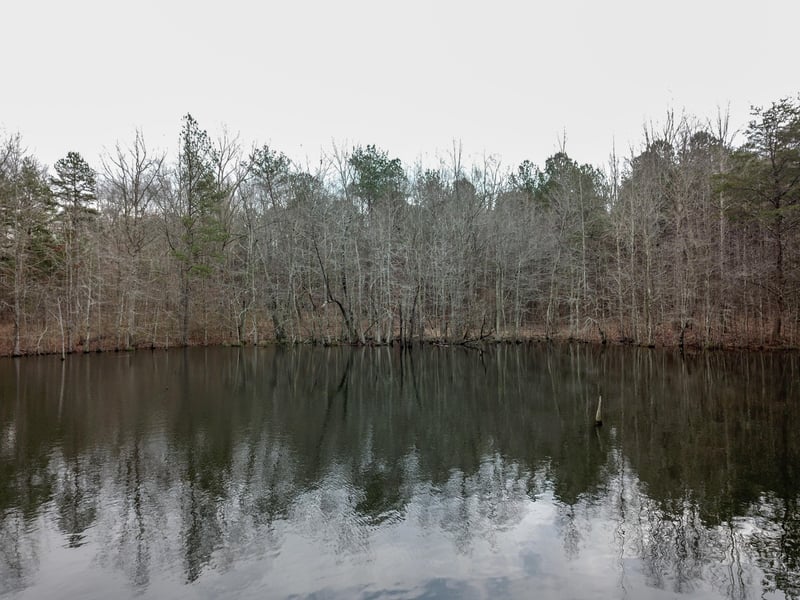 0 Road 911 Lot 14/15, Mentone, AL 35984