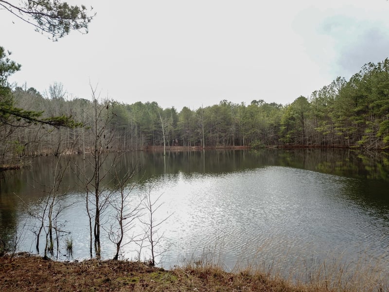 0 Road 911 Lot 14/15, Mentone, AL 35984