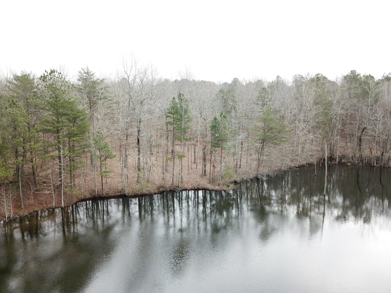 0 Road 911 Lot 14/15, Mentone, AL 35984