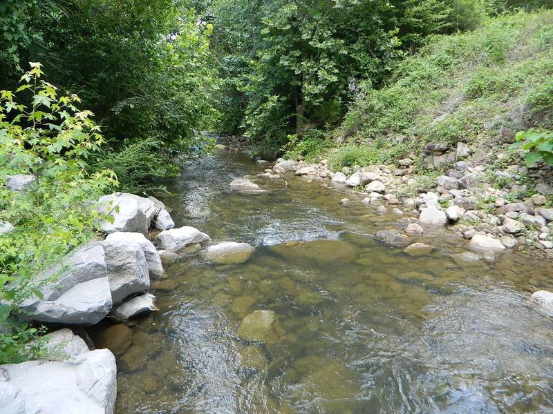 0 Gulch Rd, Trenton, GA 30752