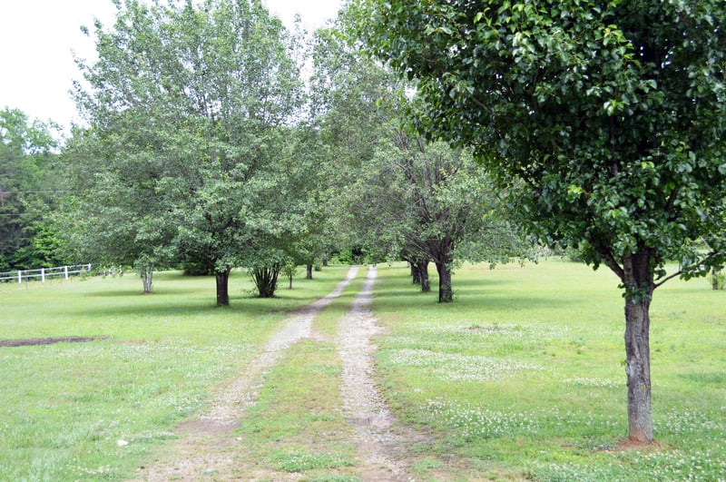 4720 Highway 337, Menlo, GA 30731