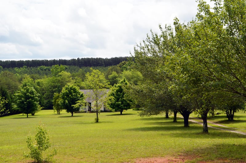 4720 Highway 337, Menlo, GA 30731