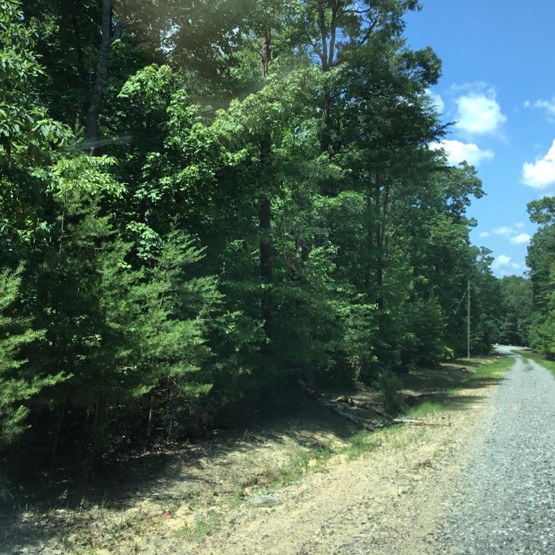 136 Everett Rd, Menlo, GA 30731