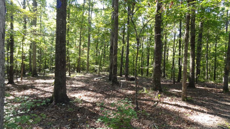 475 Stinnett Rd, Summerville, GA 30747