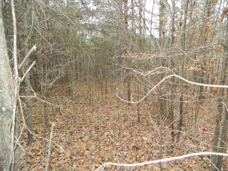 0 Valley Estates Dr Lot 35, Trenton, GA 30752