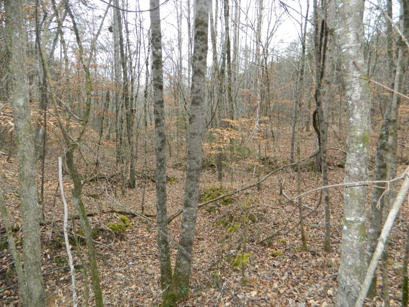 0 Valley Estates Dr Lot 35, Trenton, GA 30752