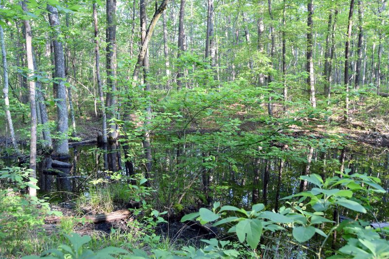 0 Fulghum Rd, Rising Fawn, GA 30738