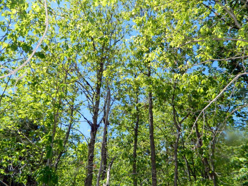 0 Wesa Ln Lot 88, Trenton, GA 30752