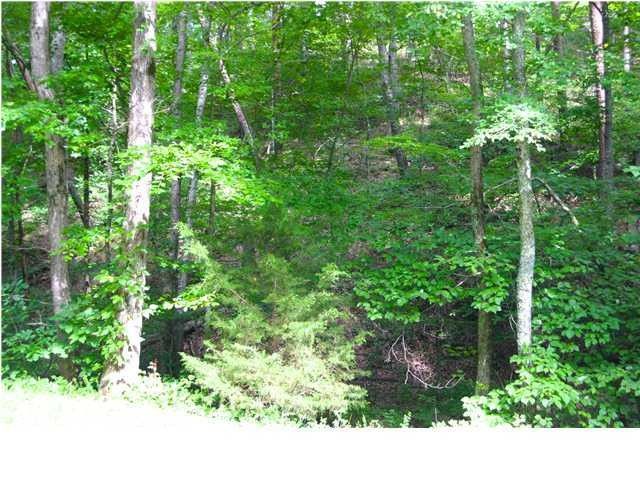 0 High Point Dr, Chickamauga, GA 30707