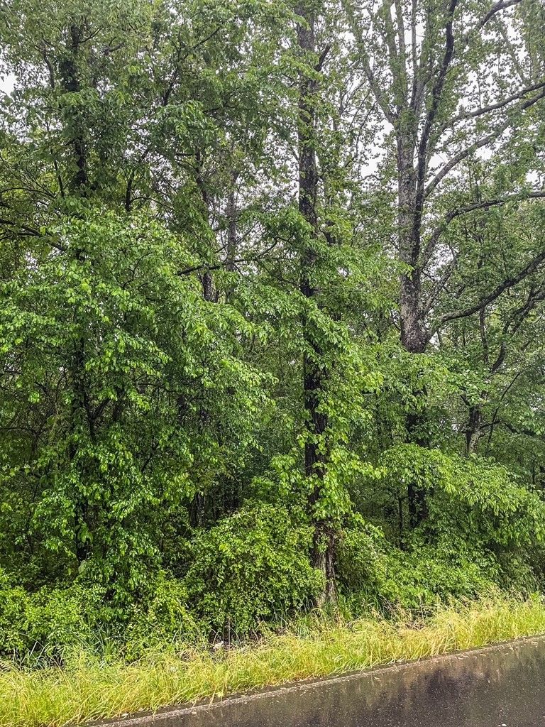 0 Nance Springs Road W, Dalton, GA 30721