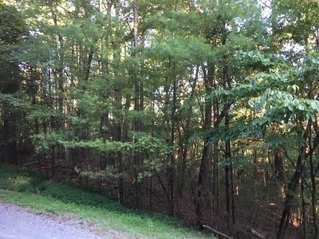 77 Hickory Ln, Ellijay, GA 30540