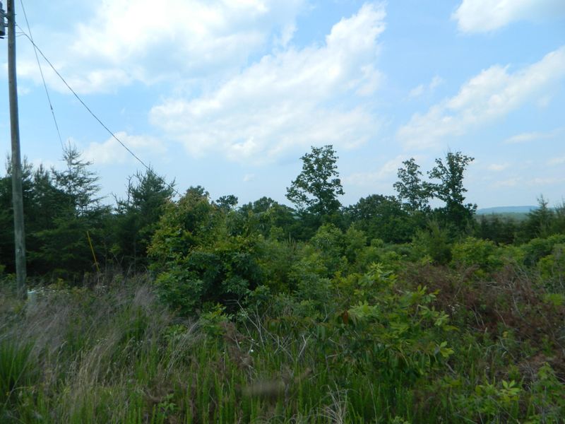 0 Deer Run Rd Lot 54&55, Trenton, GA 30752