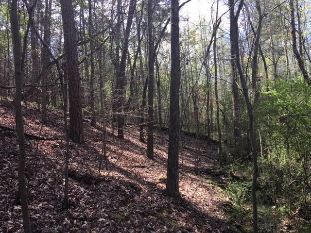 0 Happy Valley Rd, Flintstone, GA 30725