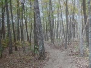 0 Old State Rd, Cloudland, GA 30731