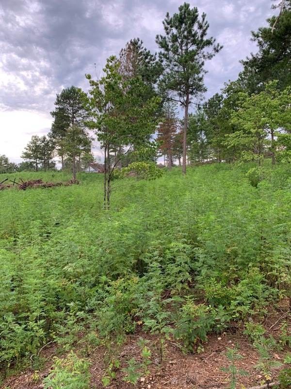 852 Ward Rd, Loudon, TN 37774