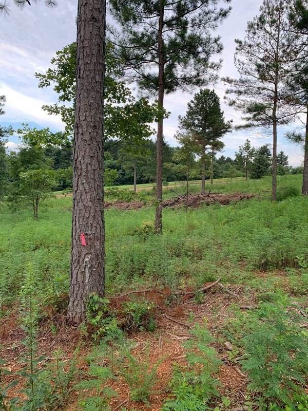 852 Ward Rd, Loudon, TN 37774