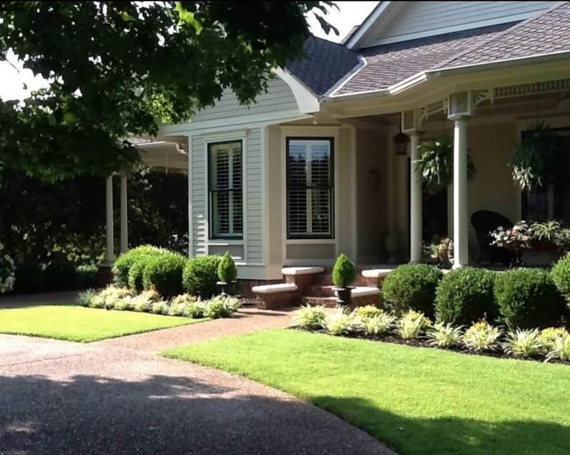 408 College Ave, Scottsboro, AL 35768