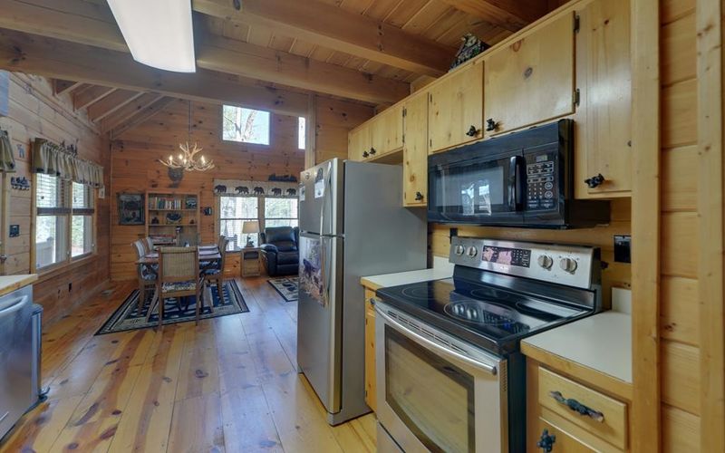 20 Dean Ct, Cherry Log, GA 30522
