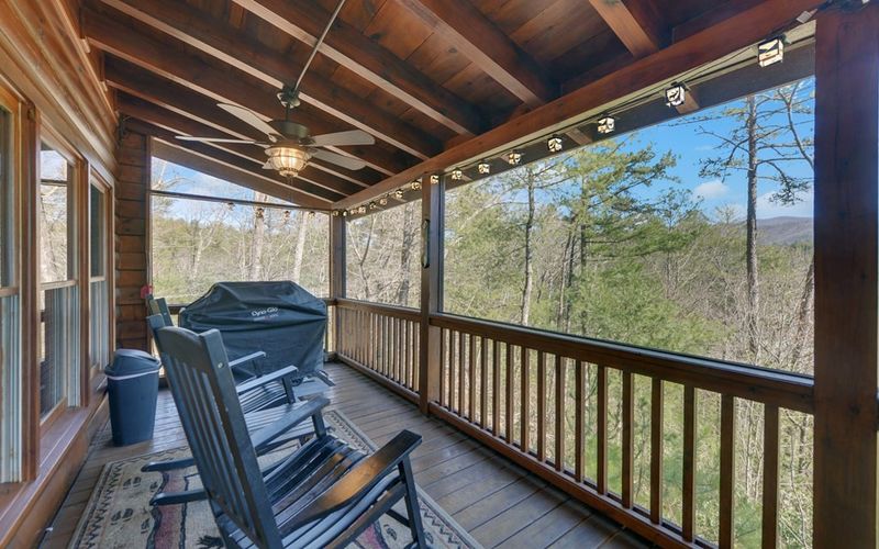 20 Dean Ct, Cherry Log, GA 30522