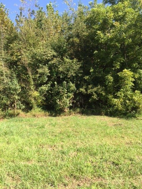4858 Mile Rd, Maryville, TN 37803