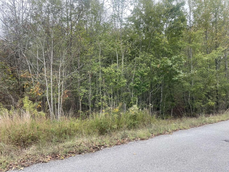 46 County Road 309, Bryant, AL 35958
