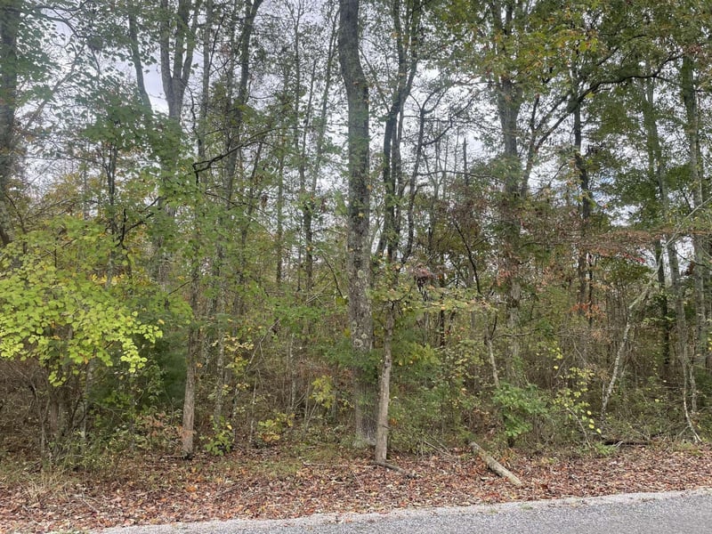 46 County Road 309, Bryant, AL 35958