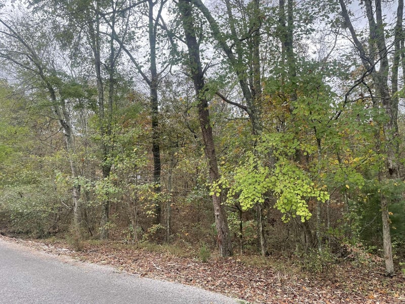 8 County Road 267, Bryant, AL 35958
