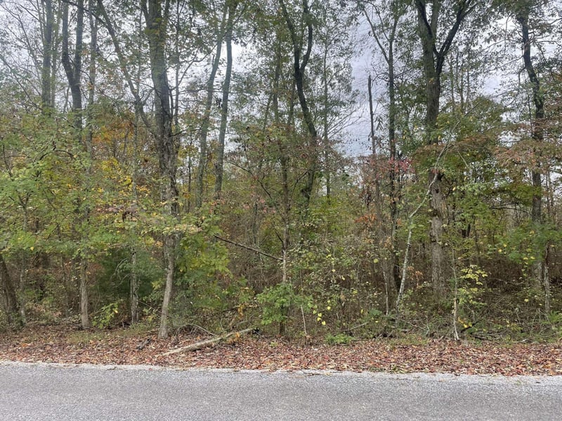 8 County Road 267, Bryant, AL 35958