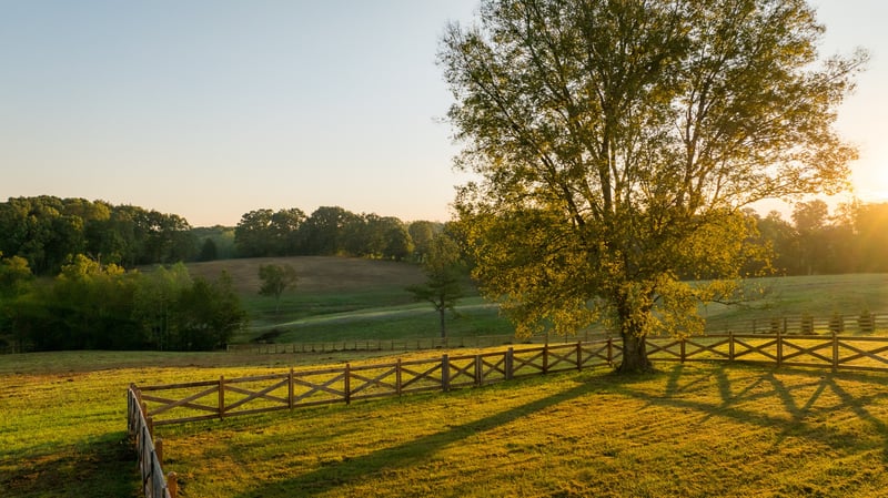 7710 Pinewood Rd, Primm Springs, TN 38476