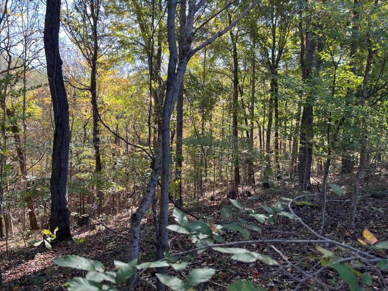 0 Roberts Rd, Goodlettsville, TN 37072
