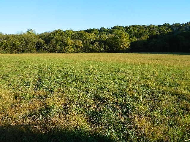 0 Flat Creek Rd, College Grove, TN 37046