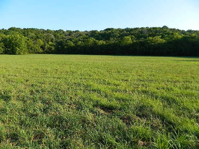 0 Flat Creek Rd, College Grove, TN 37046