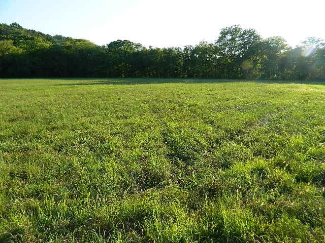 0 Flat Creek Rd, College Grove, TN 37046
