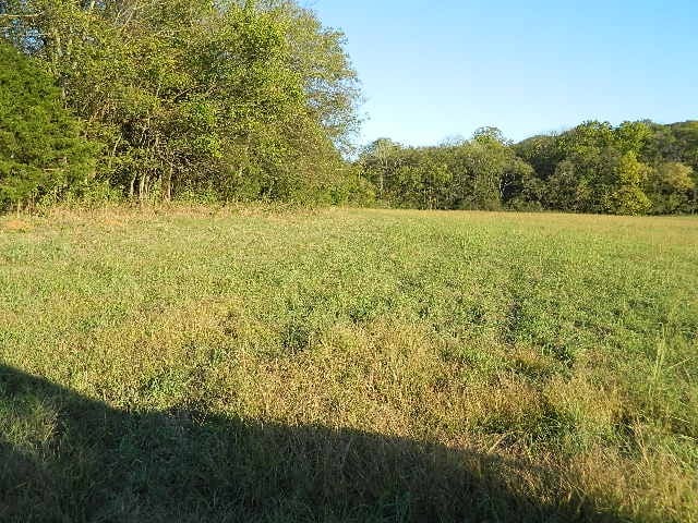 0 Flat Creek Rd, College Grove, TN 37046