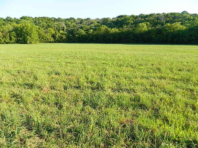 0 Flat Creek Rd, College Grove, TN 37046