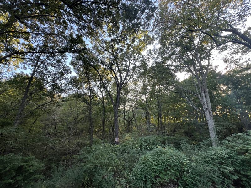 8757 Byrums Chapel Rd, Portland, TN 37148