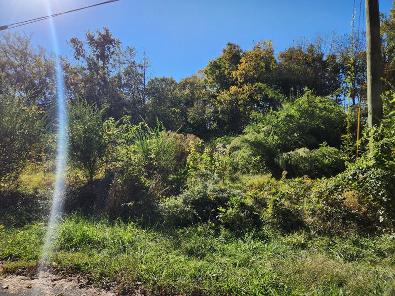57 Riverside Dr, Mount Juliet, TN 37122