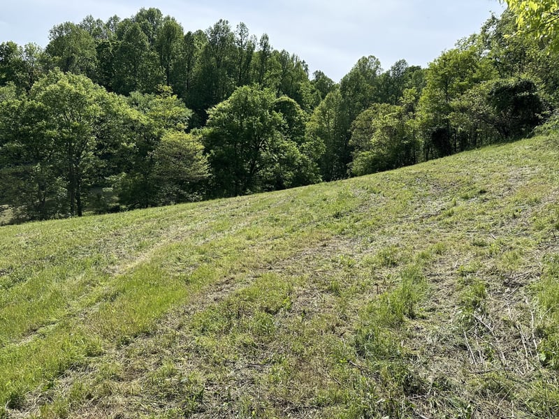 0 Massey Hollow Rd, Elmwood, TN 38560